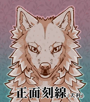 正面刻線(犬科)